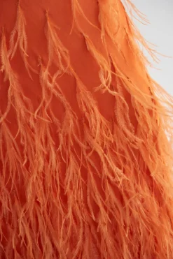 Raisa Gown